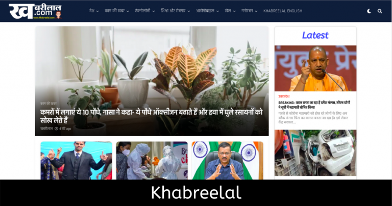 business-website-design-company-ghaziabad-delhi-noida-gurgaon-meerut-3